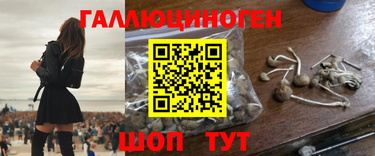 Псилоцибиновые грибы Cubensis Лянтор