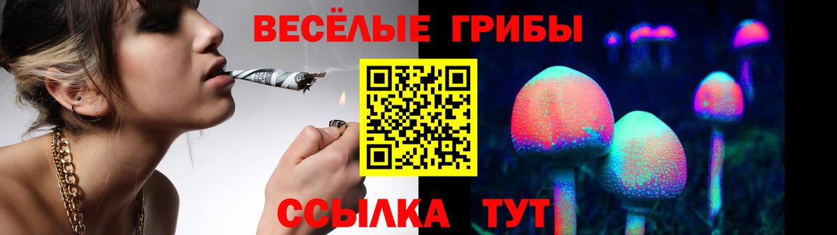 что такое   Вход с VPN  Лянтор  Галлюциногенные грибы MAGIC MUSHROOMS 
